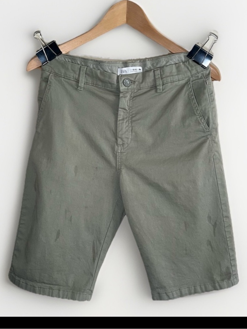 Zara Flat Front Shorts